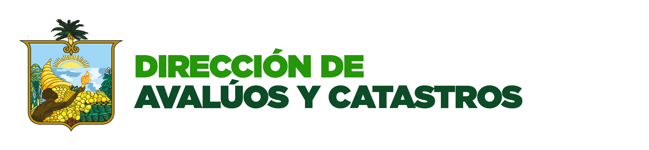 AVALÚOS Y CATASTROS