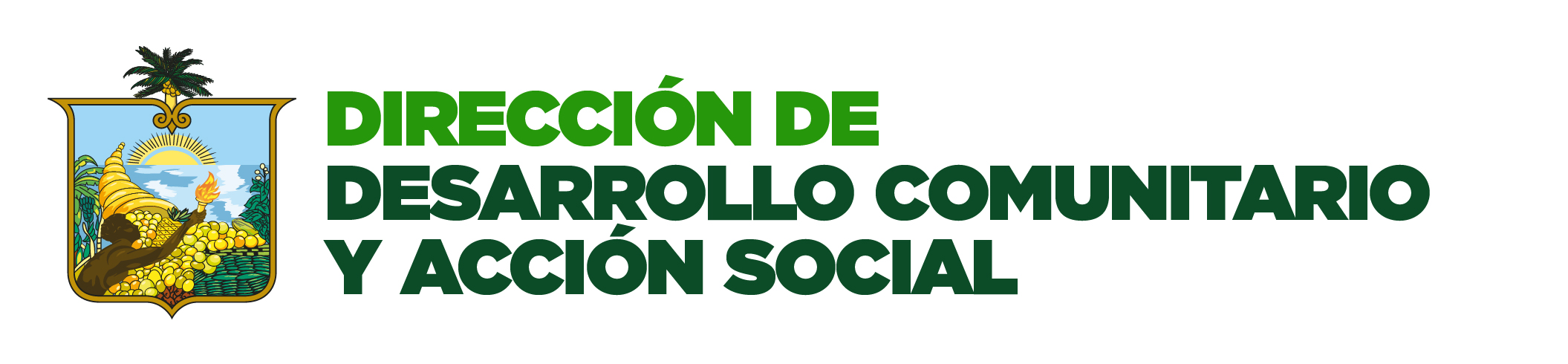 DESARROLLO COMUNITARIO Y ACCIÓN SOCIAL