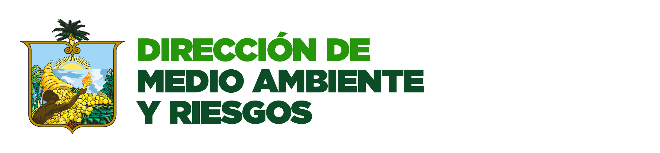 MEDIO AMBIENTE Y RIESGOS